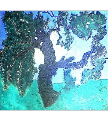 Luce interiore